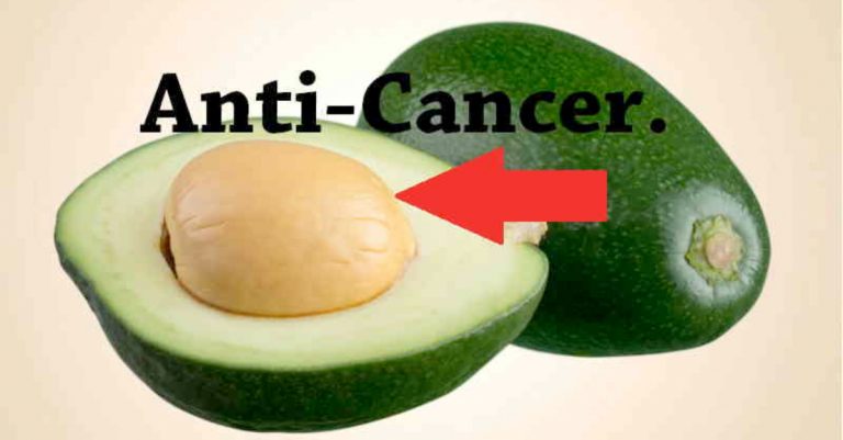 Stop Throwing Avocado Seeds and Start Protecting Yourself from Cancer