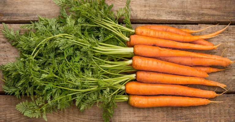 Negative Calories Foods : The More You Eat, The More Weight You Lose