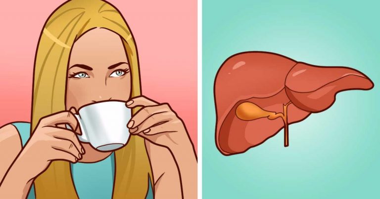 How a Cup of Coffee a Day can help Protect against Cancer and promote a Healthy Liver