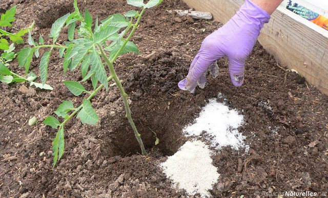 20 USES FOR EPSOM SALT. WHY IT SHOULD BE IN EVERY HOME & GARDEN