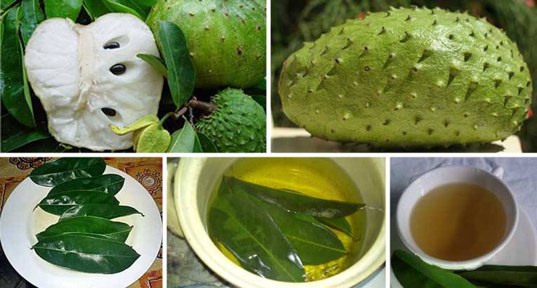 HOW TO USE THE LEAVES OF SOURSOP TO KILL CANCER CELLS (1000 TIMES STRONGER THAN CHEMOTHERAPY)