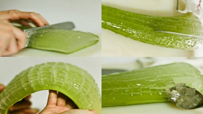 AMAZING BENEFITS OF ALOE VERA. NEVER SPEND MONEY ON CHEMICALS AND MEDS AGAIN!