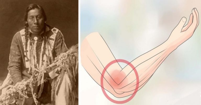11 PLANTS NATIVE AMERICANS USED TO CURE EVERYTHING (FROM JOINT PAIN TO CANCER)
