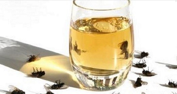 SPRAY THIS IN YOUR IN YOUR HOME AND THERE WILL BE NO MOSQUITOES, COCKROACHES AND FLIES IN I JUST 2 HOURS