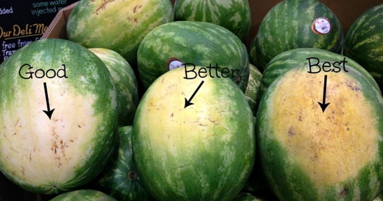 5 TIPS TO PICK THE SWEETEST WATERMELON