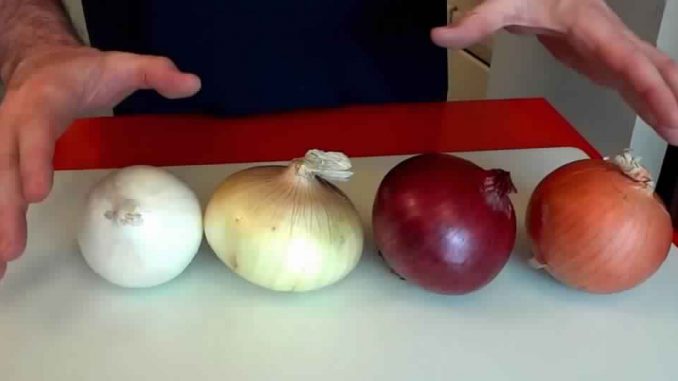 MOST PEOPLE COOK ONIONS WRONG, CHEF EXPLAINS WHAT TO DO WITH EACH ONE