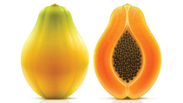 SALMONELLA OUTBREAK TIED TO YELLOW MARADOL PAPAYAS