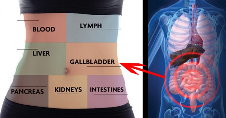 HOW TO DETOX EVERY ORGAN IN YOUR BODY AND NEVER BE SICK OR TIRED