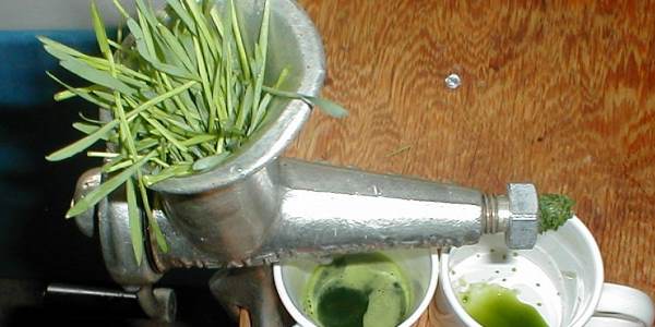 NATURAL CURE FOR OVARIAN CYSTS AND KIDNEYS!