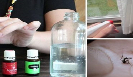 SPRAY THIS IN YOUR HOME AND THERE WILL BE NO FLIES