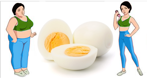 THE BOILED EGG DIET: LOSE UP 22 LBS IN 14 DAYS