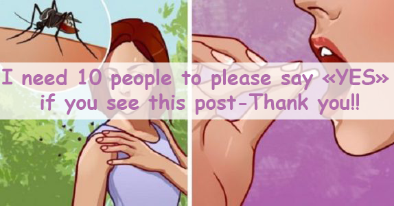 THE ONE VITAMIN THAT HELPS REPEL MOSQUITOES ALL SUMMER LONG + 4 OTHER TIPS