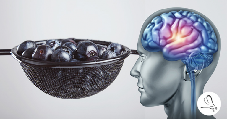 You Can Grow New Brain Cells, Regardless of Age. This is How!