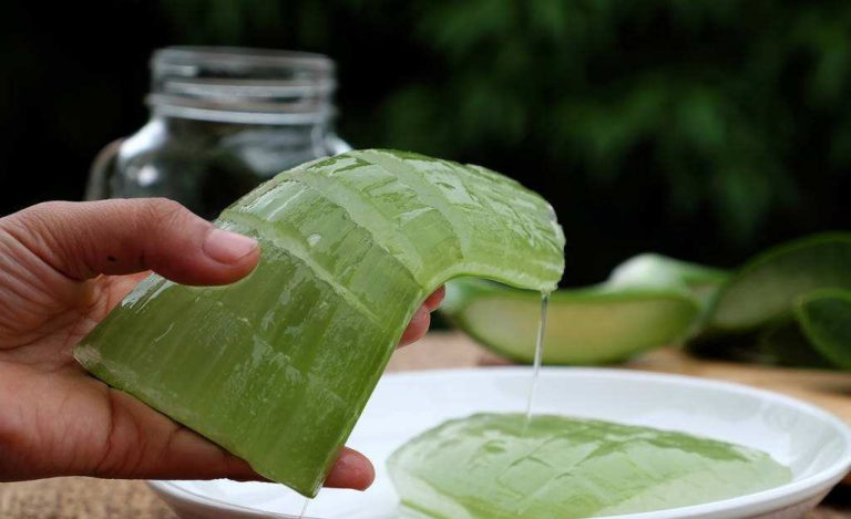 9 Reasons To Rub Aloe Vera On Your Face, Skin & Hair + 20 Recipes To Try