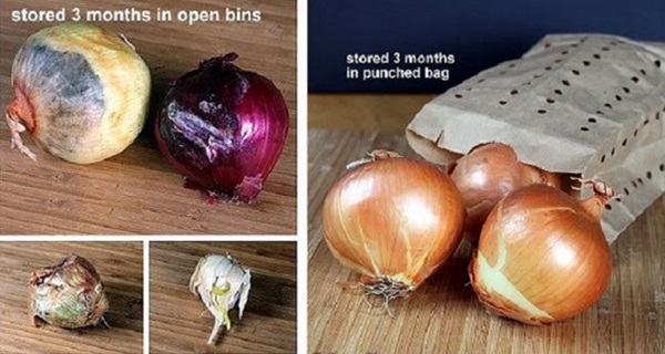 How To Store Your Onions and Garlic So They Last For Months
