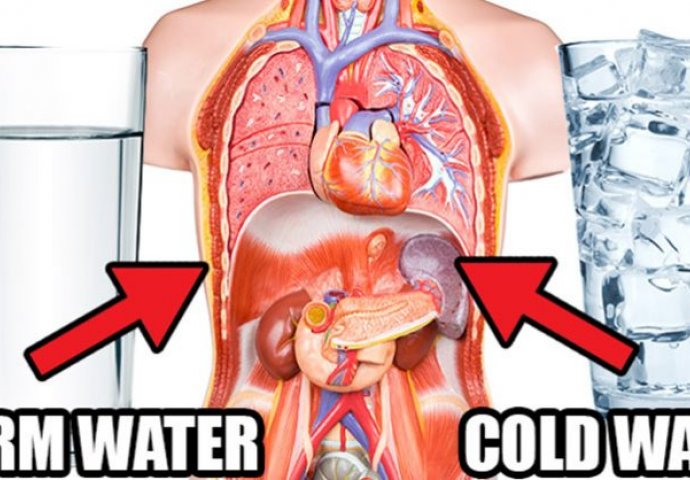 COLD WATER VS. WARM WATER: ONE OF THEM IS DAMAGING TO YOUR HEALTH