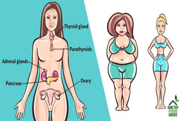 Top 6 Herbs To Balance Your Hormones Naturally