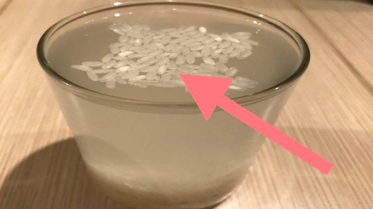 Beware, China Is Making Rice From Plastic – Here’s How To Spot It